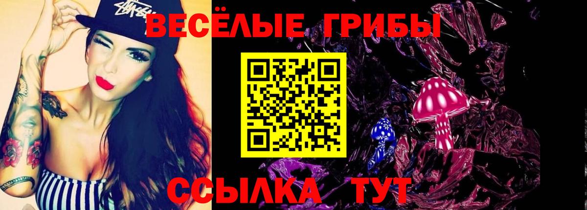 Осинники  Псилоцибиновые грибы Psilocybine cubensis  Вход с VPN  Галлюциногенные грибы ЛСД 