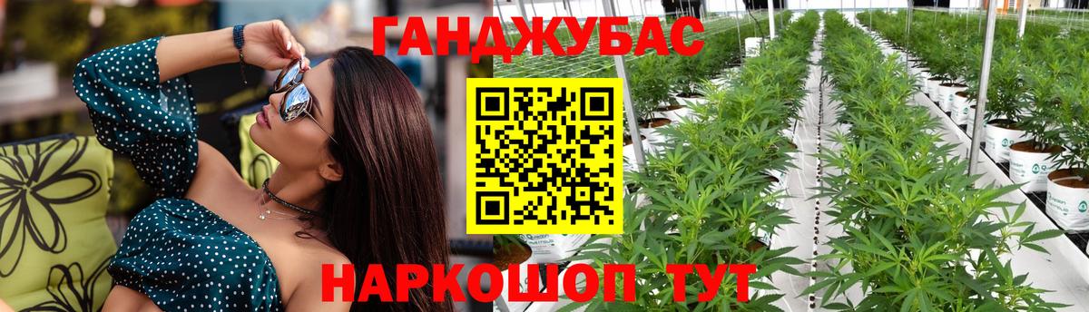 Шишки марихуана гибрид Осинники