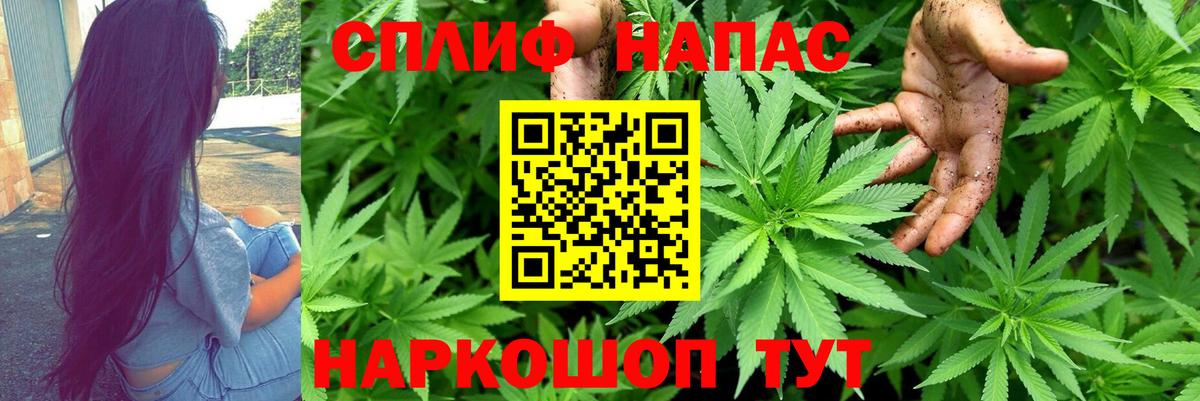 Конопля THC 21%  МАРИХУАНА семена  Вход с VPN  Каннабис VHQ  Осинники 